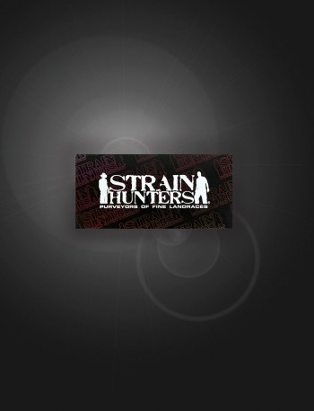 Strain Hunters Rolling Papers Purple